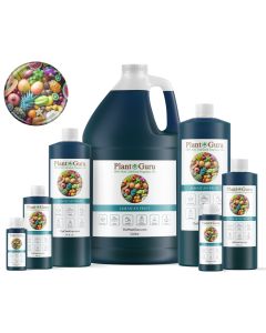 Jamaican Fruit Fragrance Oil