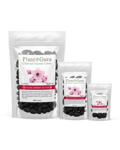 Japanese cherry blossom 1.25" Charcoal Incense Cones Backflow