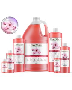 Japanese Cherry Blossom Fragrance Oil