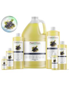Juniper Delight Fragrance Oil