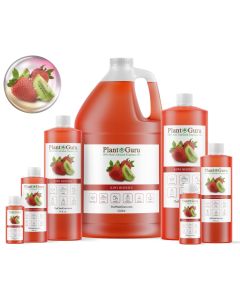 Kiwi Berries YC Type Fragrance Oil
