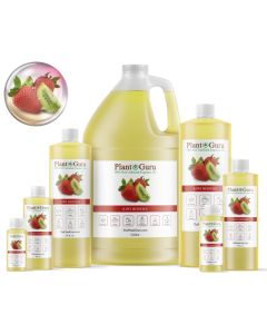 Kiwi Berries YC Type Fragrance Oil