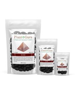 Kush 1.25" Charcoal Incense Cones Backflow