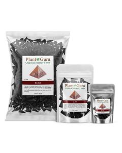 Kush 1" Charcoal Incense Cones Topflow