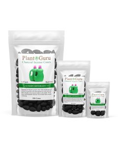 Laundry Detergent #1 1.25" Charcoal Incense Cones Backflow