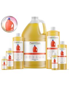 Laundry Detergent #2 Fragrance Oil
