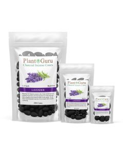 Lavender 1.25" Charcoal Incense Cones Backflow