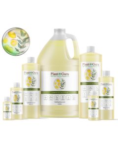 Lemon Eucalyptus Fragrance Oil