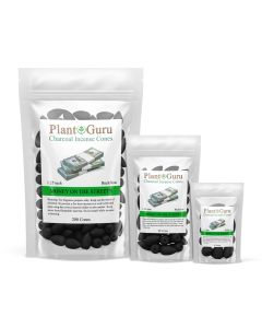 Money On The-Street 1.25" Charcoal Incense Cones Backflow