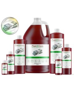 Money On The Street Fragrance Oil