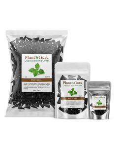Patchouli 1" Charcoal Incense Cones Topflow