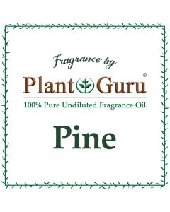 Pine Fragrance Oil