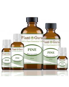 Pine Essential Oil