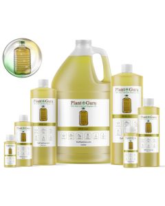 Pine All Fragrance Oil