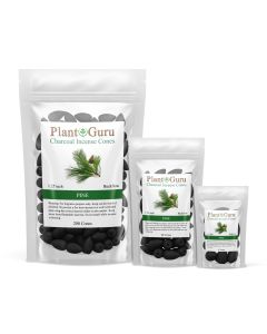 Pine 1.25" Charcoal Incense Cones Backflow