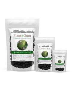 Rain Forest Fantasy 1.25" Charcoal Incense Cones Backflow