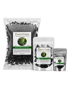 Rain Forest Fantasy 1" Charcoal Incense Cones Topflow
