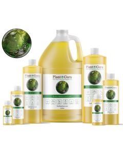 Rain Forest Fantasy Fragrance Oil