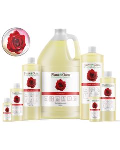 Rose "Red" Fragrance Oil