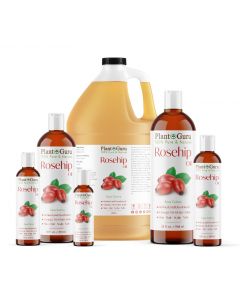 Rosehip Oil Refined and Deodorized