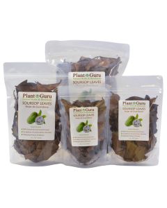 Dried Soursop Leaves - Natural Graviola Soursop Tea Leaves