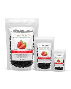 Strawberry 1.25" Charcoal Incense Cones Backflow