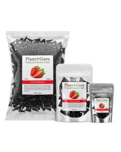 Strawberry  1" Charcoal Incense Cones Topflow