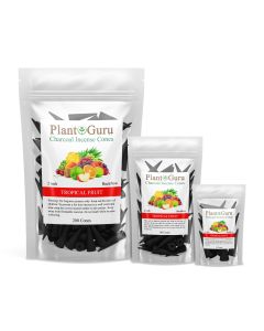 Tropical Fruit 2" Charcoal Incense Cones Backflow