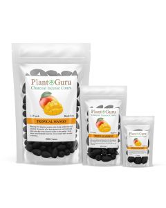 Tropical Mango 1.25" Charcoal Incense Cones Backflow
