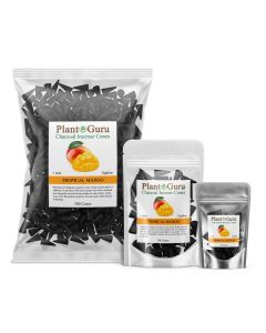 Tropical Mango 1" Charcoal Incense Cones Topflow