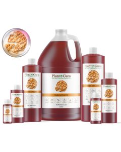 Warm Apple Pie Fragrance Oil
