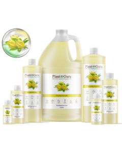 Ylang Ylang Fragrance Oil