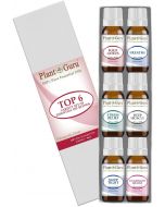 Essential Oil Blends Variety Set - 6 Pack