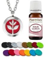 Essential Oil Diffuser Necklace Set With Four Gurus 10 ml