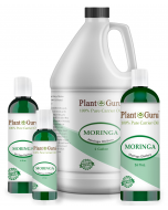 Moringa Seed Oil 
