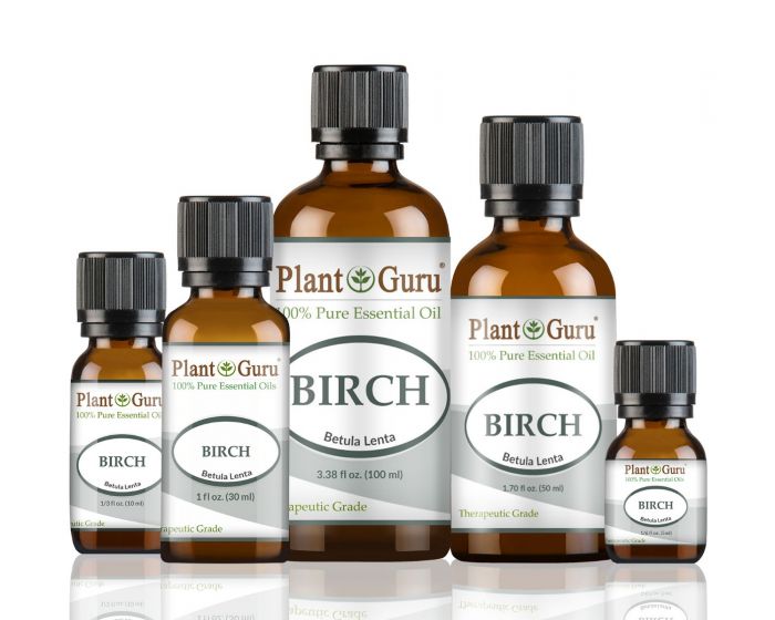 Birch (Sweet) Essential Oil