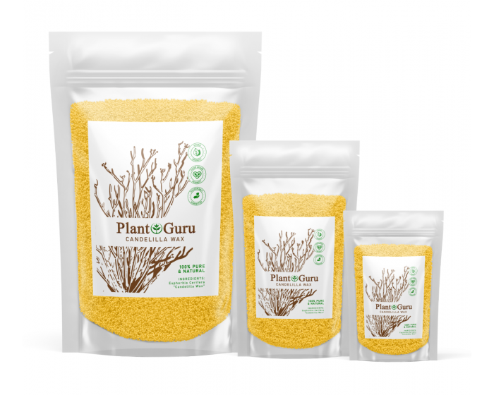 Candelilla wax purchasing: Manufacturer & Supplier B2B