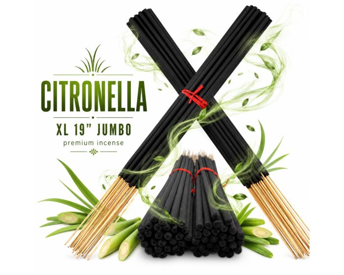 AKB0048 スティックポスター コンプ Citronella