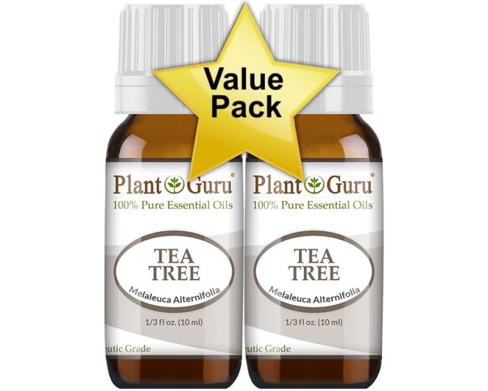 Plant Therapy Tea Tree Essential Oil 1 oz