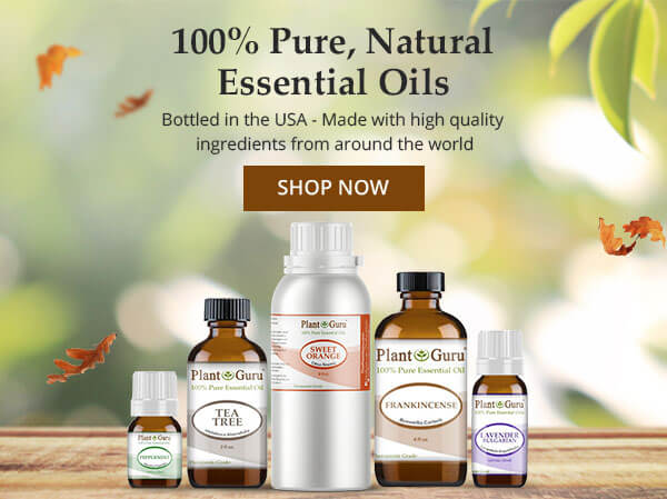 Essential Oil Sets Organic Qlant & Natural 100% Pure Therapeutic