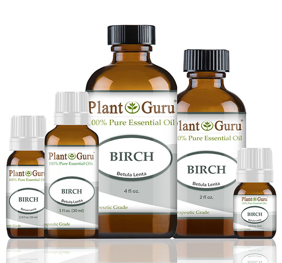 Birch Essential Oil