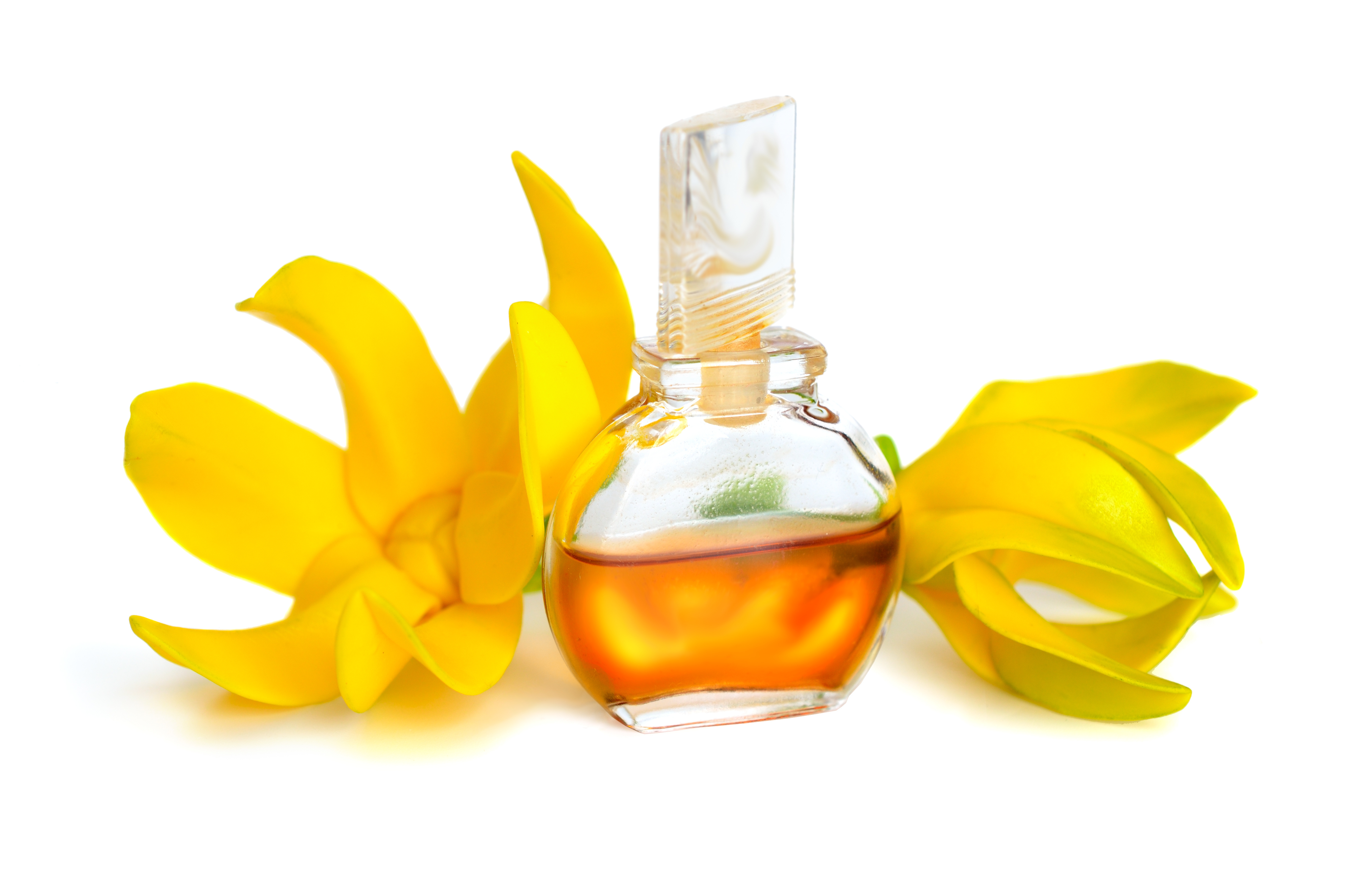6 Ways Ylang Ylang Oil Can Benefit Your Hair