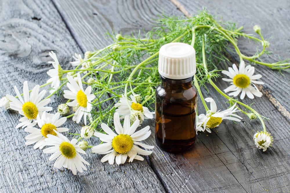 Chamomile Oil On Skin: Why It’s A Great Choice