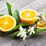Discover The Benefits Of Using Neroli Essential Oil
