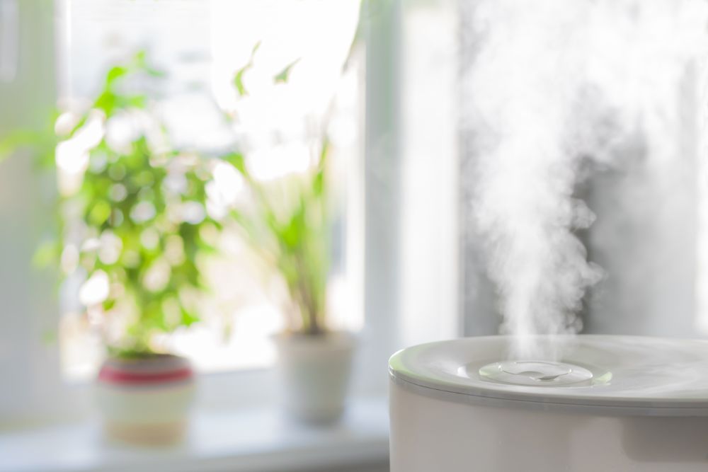 essential oils for humidifiers