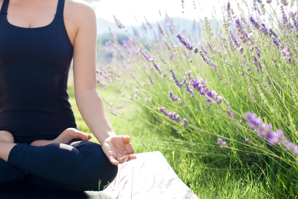 Lavender Oil For Anxiety