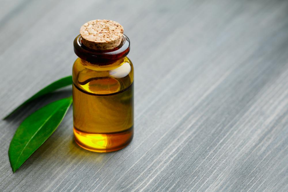 How To Apply Tamanu Oil For Healthy Hair Growth