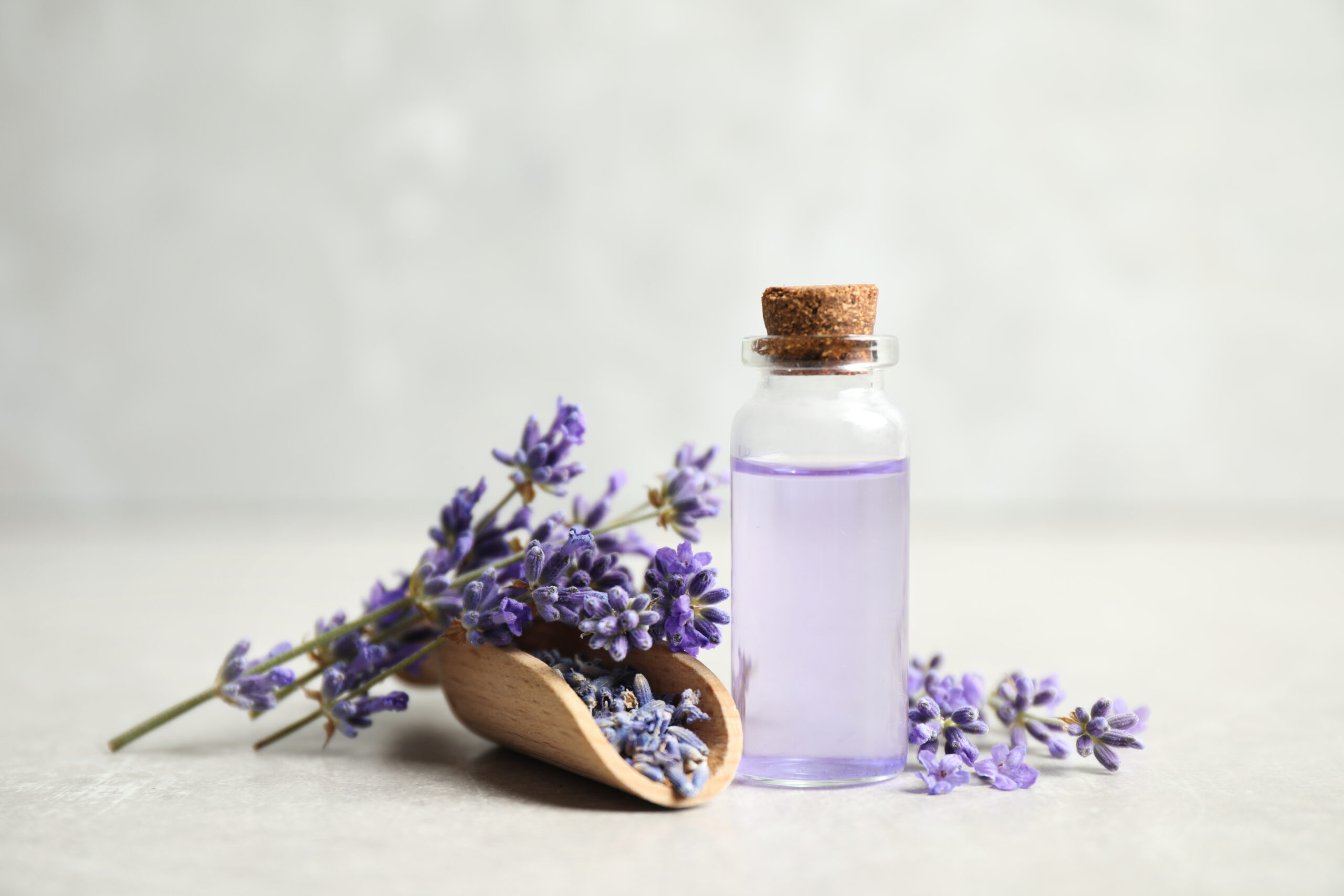 treat burns using lavender oil
