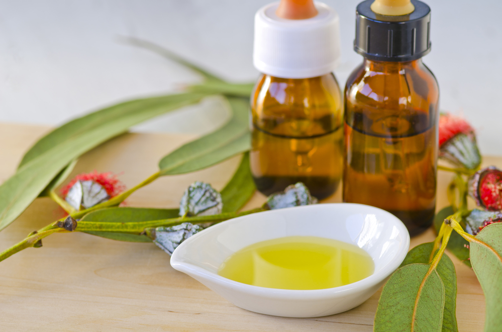 how to use eucalyptus oil