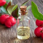 How To Use Wintergreen Oil For Powerful Pain Relief